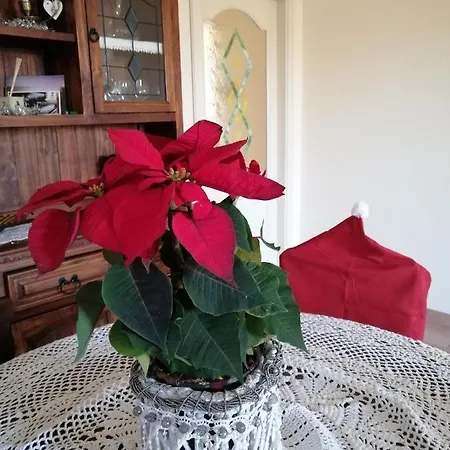 Вилла La Rosa Виареджо